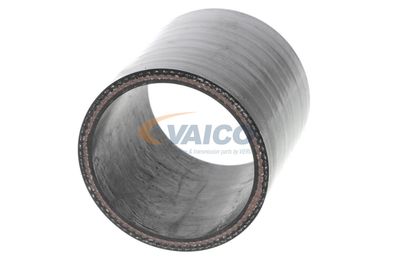 LADELUFTSCHLAUCH VAICO V251019 49