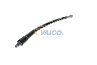 FURTUN FRANA VAICO V464113 52