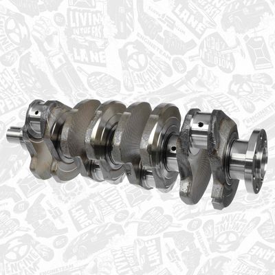 ARBORE COTIT ET ENGINETEAM HK0165 2