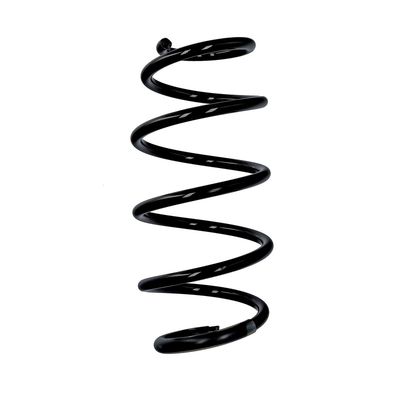 ARC SPIRAL EIBACH R10096 25