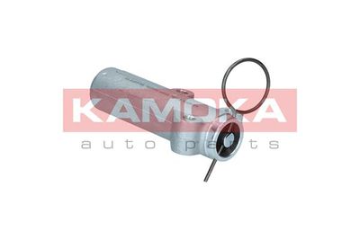 Vibration Damper, timing belt R8004