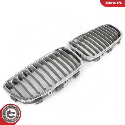 GRILA RADIATOR ESEN SKV 66SKV015 2