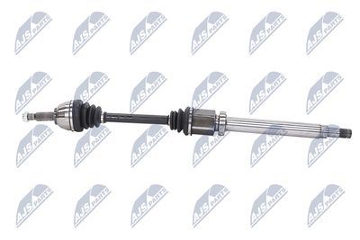 PLANETARA NTY NPWFR056 26