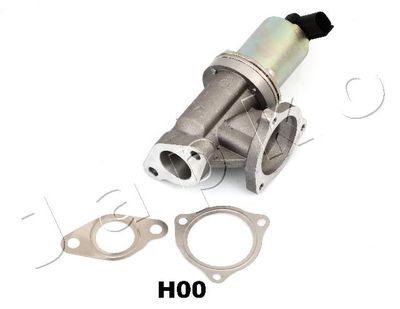 EGR Valve 150H00