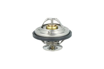 TERMOSTAT LICHID RACIRE NRF 725478 5