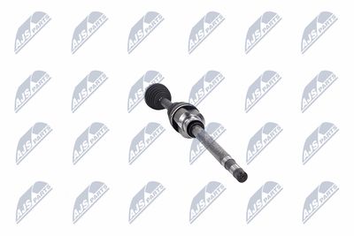 PLANETARA NTY NPWCT183 33