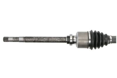 Drivaxel PASCAL G2C065PC för CITROËN