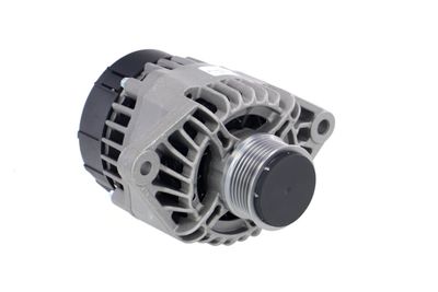 GENERATOR / ALTERNATOR REMANTE 011003000017R 49