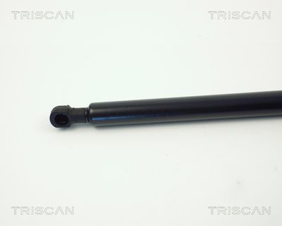 AMORTIZOR PORTBAGAJ KAWE 871011220 1