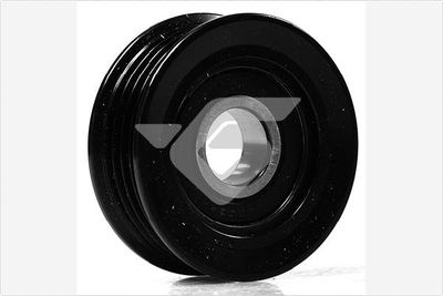 HUTCHINSON T0441 Ролик ремня генератора  для LAND ROVER RANGE ROVER I 2.5 TDi 4x4