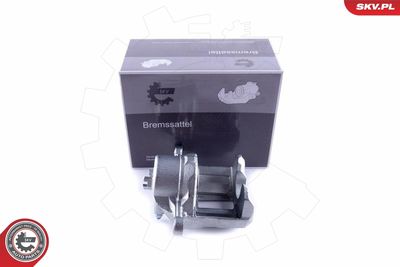 Brake Caliper 50SKV781