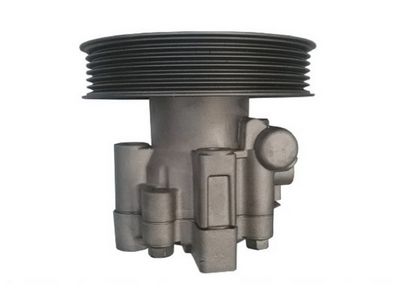 HYDRAULIKPUMPE LENKUNG SPIDAN 54987 3