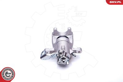 Brake Caliper 34SKV488