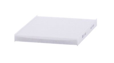 Filtras, salono oras