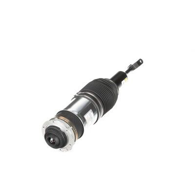 LUFTFEDERBEIN Arnott AS3230 48