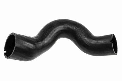 FURTUN EAR SUPRAALIMENTARE