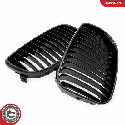 GRILA RADIATOR ESEN SKV 66SKV006 2