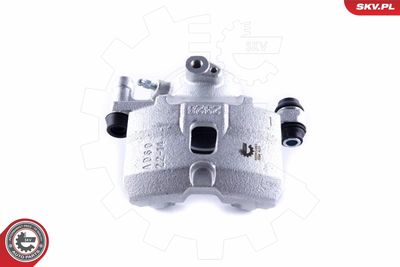 Brake Caliper 55SKV291