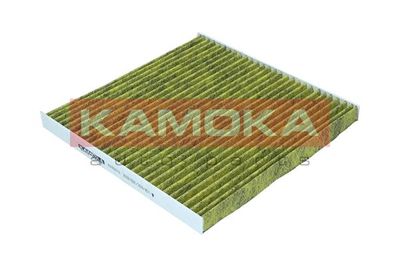 Filter, cabin air 6080010