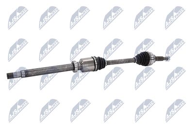 PLANETARA NTY NPWFR074 4