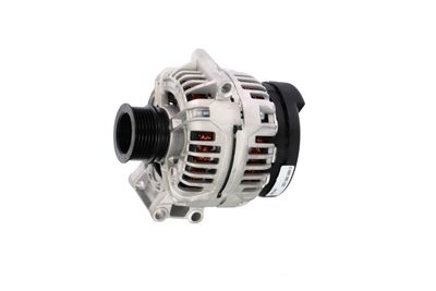 GENERATOR / ALTERNATOR REMANTE 011003000335R 13