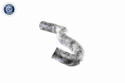 FURTUN RADIATOR VAICO V300227 3