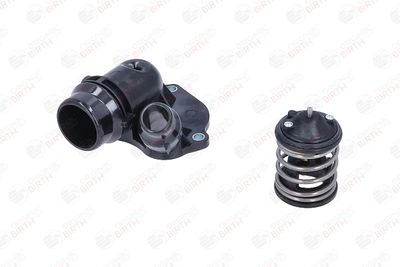 FLANSA LICHID RACIRE BIRTH 81103 2