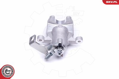 Brake Caliper 45SKV473