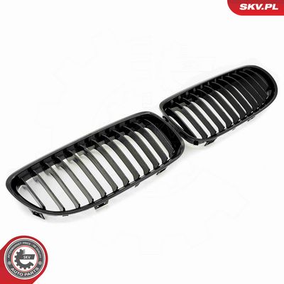 GRILA RADIATOR ESEN SKV 66SKV095 1