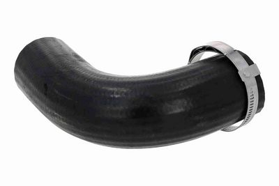 FURTUN EAR SUPRAALIMENTARE ACKOJA A520882 3