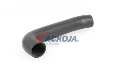 FURTUN EAR SUPRAALIMENTARE ACKOJA A379602 54