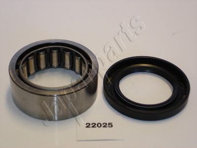 JAPANPARTS Rato guolio komplektas