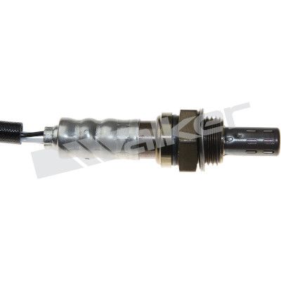 LAMBDASONDE WALKER PRODUCTS 250241079 1