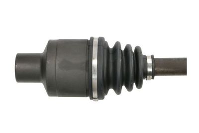 Planetara PASCAL G2Y005PC