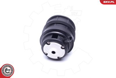 Air Spring, suspension 58SKV057