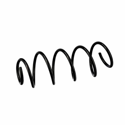 ARC SPIRAL EIBACH R10079 18