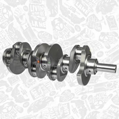 ARBORE COTIT ET ENGINETEAM HK0224 1
