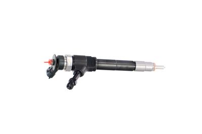 INJECTOR REMANTE 002003001319R 40
