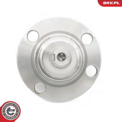 Čap nápravy, nápravnica ESEN SKV 29SKV639