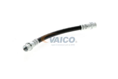 FURTUN FRANA VAICO V104136 54