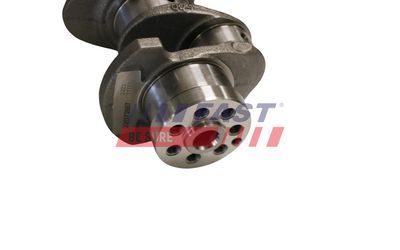 ARBORE COTIT FAST FT51702 4