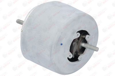 SUPORT MOTOR BIRTH 50746 1
