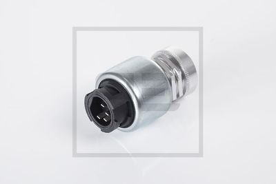 Sensor, hastighet / varvtal PE AUTOMOTIVE 080.119-00A