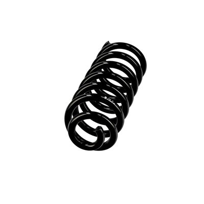 ARC SPIRAL EIBACH R10602 2