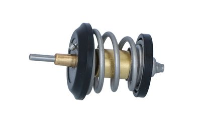 TERMOSTAT LICHID RACIRE NRF 725250 13