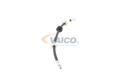 FURTUN FRANA VAICO V244100 39