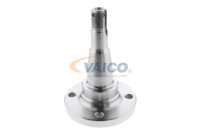 BUTUC ROATA CORP AXA VAICO V400793 58