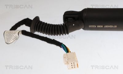 AMORTIZOR PORTBAGAJ TRISCAN 871024307 1