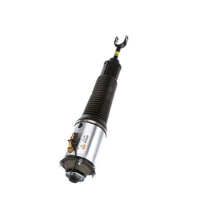 LUFTFEDERBEIN Arnott AS2560 59