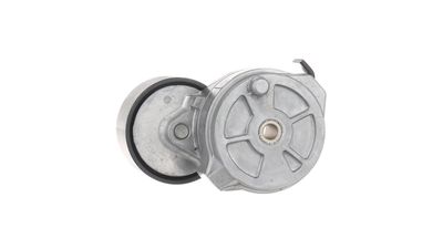 Intinzator curea, curea distributie SKF VKMCV 55004